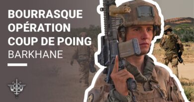 [Barkhane] Bourrasque, opération coup de poing