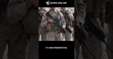 Connaissez-vous les US Marines ?