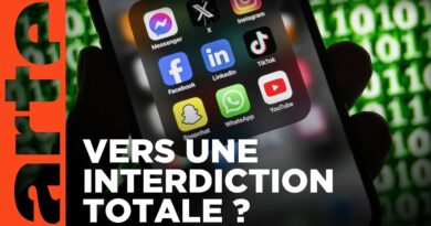 Faut-il interdire les réseaux sociaux aux plus jeunes ? | ARTE Europe l’Hebdo