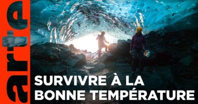 La science des températures : la température de la vie (2/3) | Documentaire | ARTE