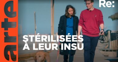 La stérilisation forcée, un tabou en Europe | ARTE Regards