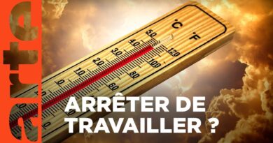 Trop chaud pour travailler | ARTE