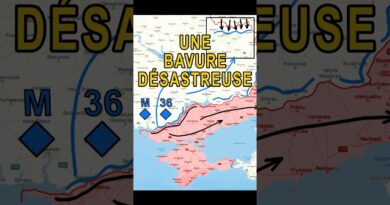 UNE BAVURE ÉNORME : mise à jour stratégique N° 15 (aperçu)