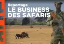 Afrique : safaris et bonnes bonnes affaires | ARTE Reportage