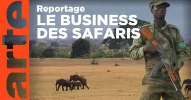 Afrique : safaris et bonnes bonnes affaires | ARTE Reportage