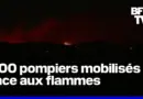 Ardèche, Martigues, Brocéliande, Fréjus… La France en proie aux flammes