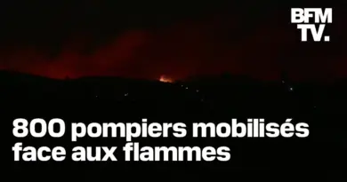 Ardèche, Martigues, Brocéliande, Fréjus… La France en proie aux flammes