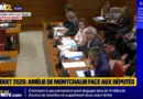 🟡Assemblée: suivez en direct l’audition d’Amélie de Montchalin, ministre chargée des Comptes publ…