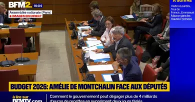 🟡Assemblée: suivez en direct l’audition d’Amélie de Montchalin, ministre chargée des Comptes publ…