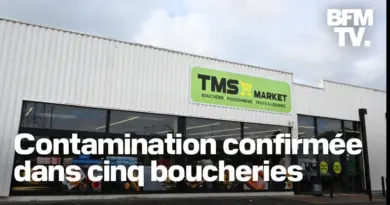 Bactérie E.coli dans l’Aisne: la préfecture confirme la contamination de cinq boucheries
