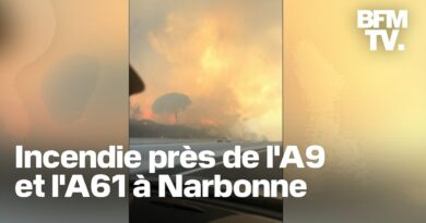 Canicule: la circulation totalement interrompue sur l’A9 et l’A61 en raison d’un incendie