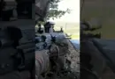 Des légionnaires s’entraînent au combat