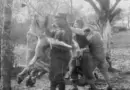 ECPAD – Film d’archives 14-18 – Le printemps de la victoire