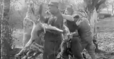 ECPAD – Film d’archives 14-18 – Le printemps de la victoire
