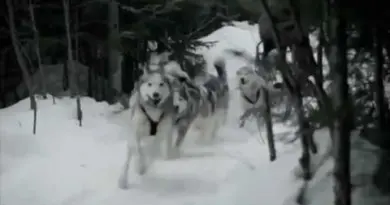 ECPAD – bande annonce du film « Nom de code : poilus d’Alaska »