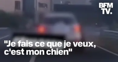 En Belgique, un homme est accusé d’avoir tué son chien en le traînant sur plusieurs mètres