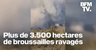 États-Unis: plusieurs centaines de touristes évacués du Grand Canyon après des incendies