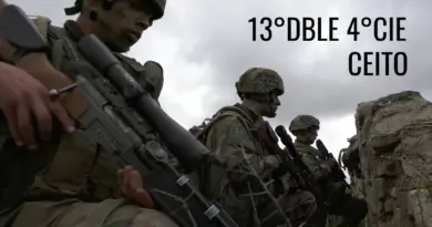 Évaluation de la 4e Compagnie de la 13e DBLE au CEITO