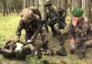 Formation 13e DBLE mars 2016