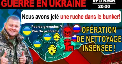 IMAGES INCROYABLES : Les Ukrainiens Nettoient Un Bunker AVEC UN ESSAIM D’ABEILLES !