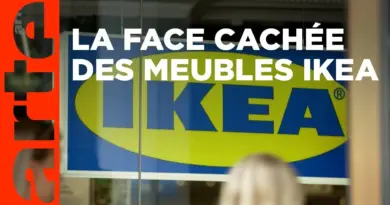 Ikea, le seigneur des forêts | Documentaire | ARTE