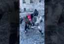 Il couche son adversaire : Test d’agressivité Légion