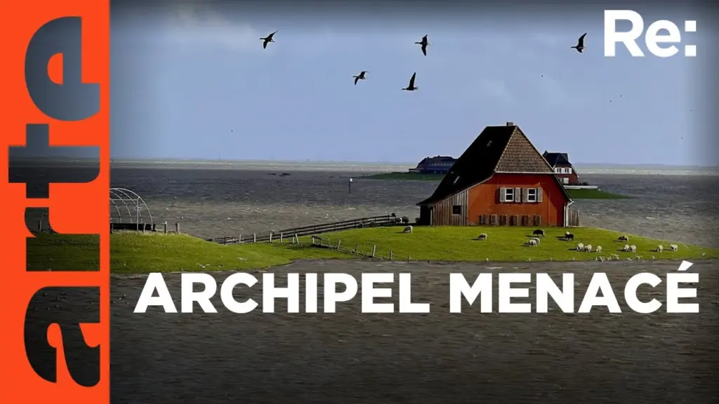 Îles de la mer du Nord, bientôt englouties ? | Reportage | ARTE Regards