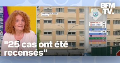 Intoxications alimentaires en série: l’interview de la procureure de Paris en intégralité