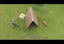 [#JournéeMondialeDuChien] Une journée avec Phédra !