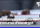 L’Angleterre a accueilli un championnat mondial de course d’escargot