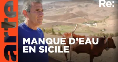 La Sicile en proie à la sécheresse | ARTE Regards