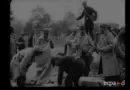 Le courrier aux armées – Histoires filmées de la Grande guerre