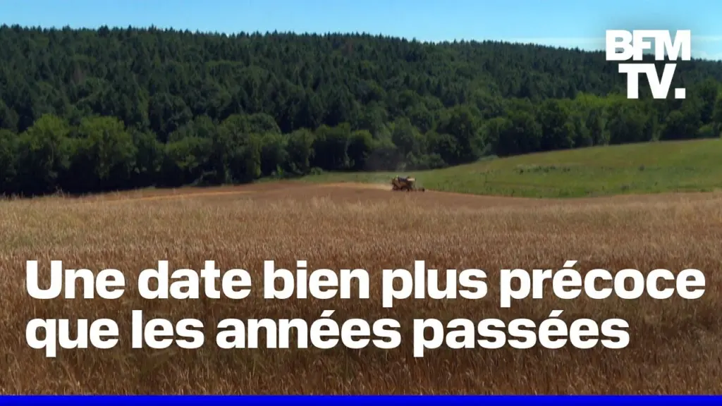 Le jour du dépassement est arrivé ce jeudi 24 juillet