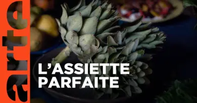 Le régime méditerranéen, la recette idéale | La nouvelle science du régime méditerranéen | ARTE