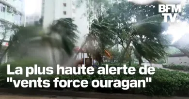 Le typhon Wipha passe près de Hong Kong et génère des vents violents