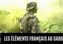 Les éléments français au Gabon