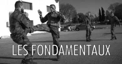 Les fondamentaux du combat rapproché