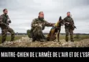Les maîtres-chiens de l’armée de l’Air et de l’Espace