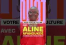 Les recos culture de la semaine avec Aline Afanoukoé 🎤 #afro #culture