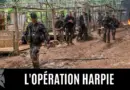 L’opération Harpie