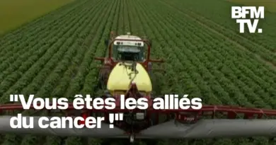 Pourquoi la loi Duplomb sur l’agriculture votée à l’Assemblée est-elle controversée?