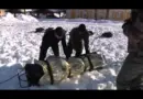 Premiers pas en montagne