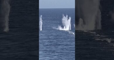 #RafaleMarine | Le Rafale Marine : l’excellence de l’aéronautique française ✨