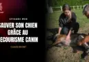 Sauver son chien grâce au secourisme