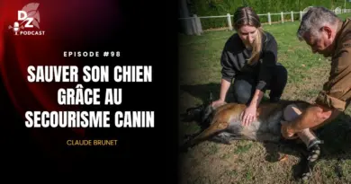 Sauver son chien grâce au secourisme