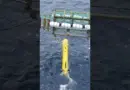 #Short | Maitrise des fonds marins : connaître, surveiller, agir !