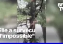 Texas: le sauvetage miraculeux d’une femme, emportée par les eaux sur 20 km