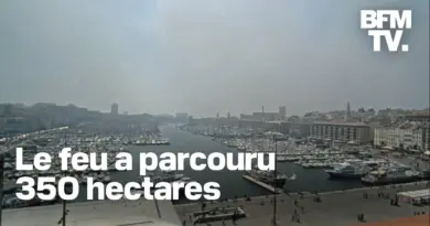 Un violent incendie a touché le 16e arrondissement de Marseille