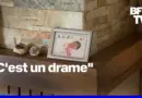 Une enfant prématurée de cinq jours meurt au CHU de Lille