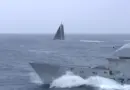 [VENDÉE GLOBE 2016] Rencontre avec les skippeurs